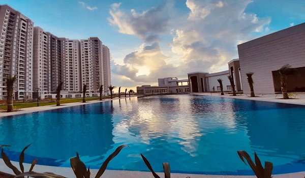 Featured image of Prestige Song of the South