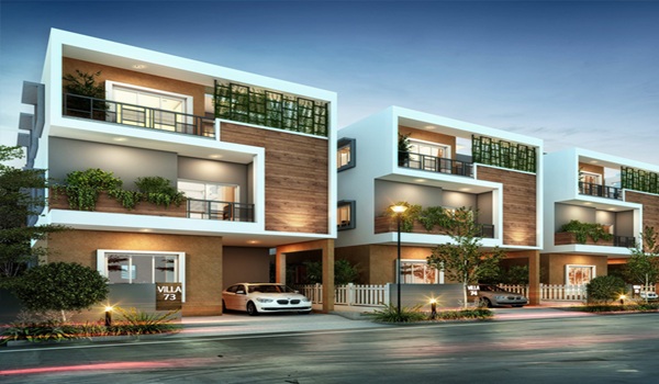 Featured Image of Radiance Blossom