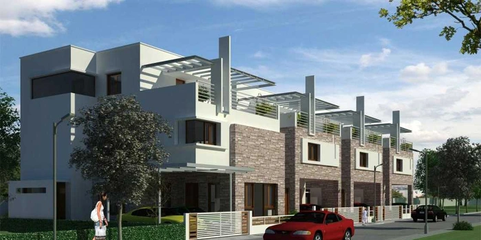 Featured image of Radiant Silver Oak